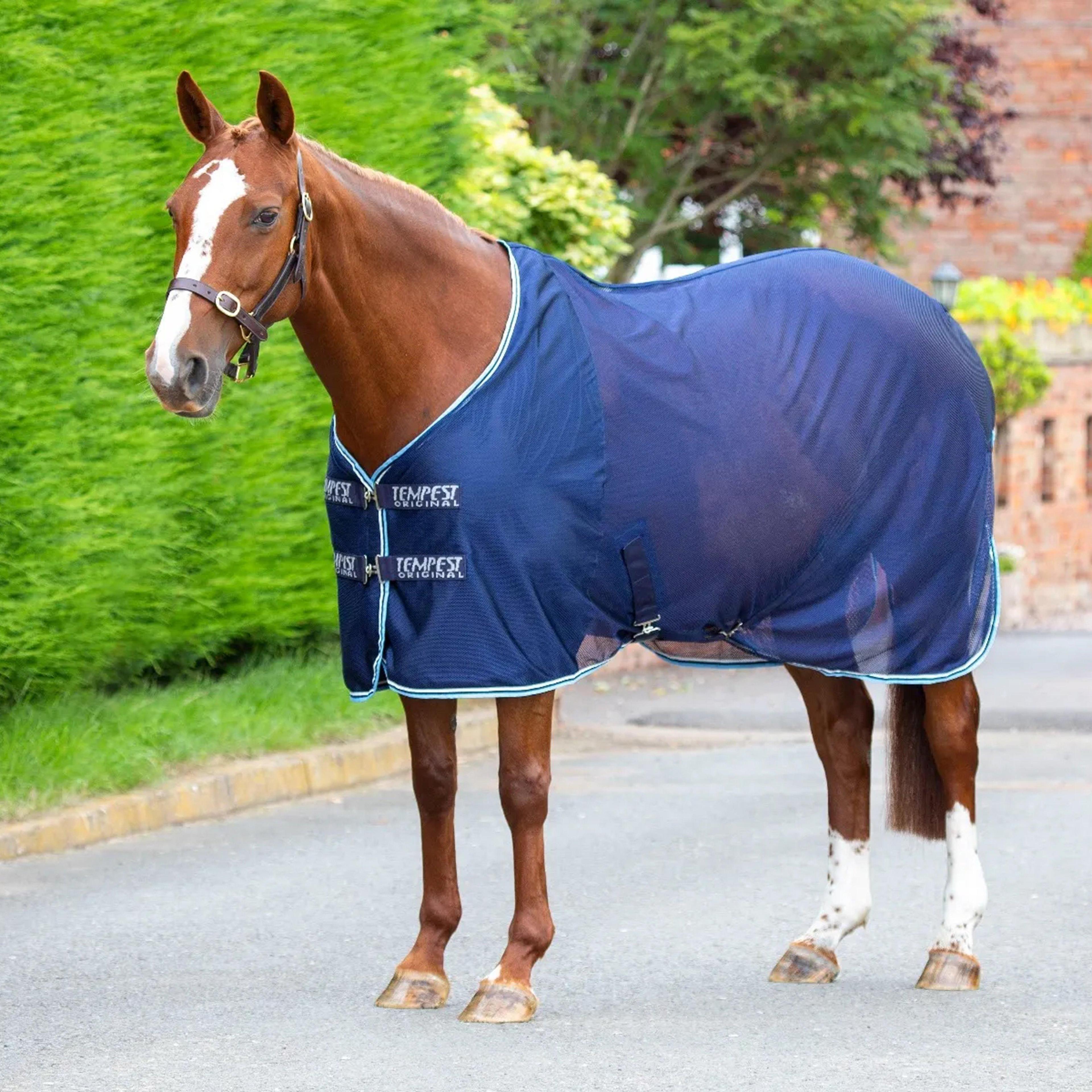 Tempest Original Mesh Cooler Navy