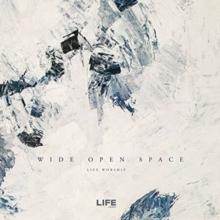 Wide Open Space CD