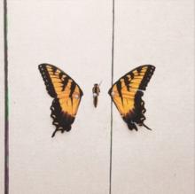 Brand New Eyes