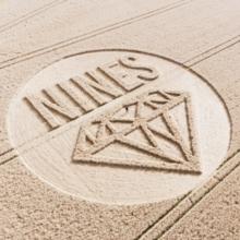 Crop Circle