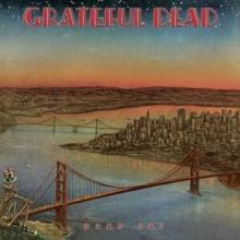 Grateful Dead - Dead Set - 2 Vinyl