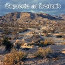 Orquesta del desierto