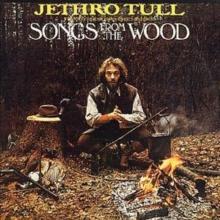 Songs From The Wood