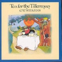 Tea For The Tillerman