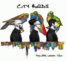 City Birds