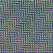 Merriweather Post Pavilion (15th Anniversary Edition)