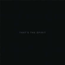 Bring Me The Horizon - That`s The Spirit - Vinyl + CD