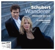 Schubert: Wanderer