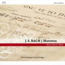 Motets (Podger, Trinity Baroque)