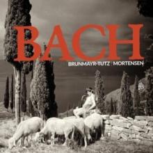 Brunmayr-Tutz/Mortensen: Bach