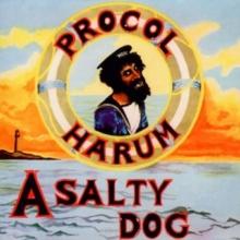 A Salty Dog