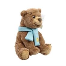 Bear Hunt Soft Toy