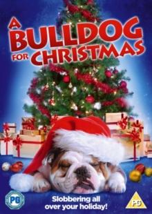 A   Bulldog for Christmas