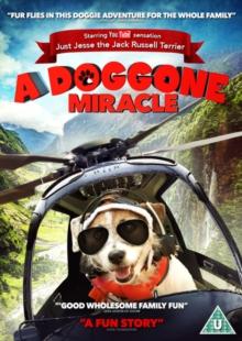 A   Doggone Miracle