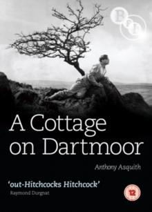 A   Cottage On Dartmoor