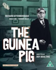 The Guinea Pig