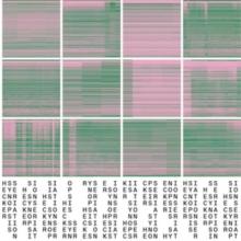 Hecker: Synopsis Seriation