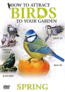 How to Attract Birds to Your Garden: Spring