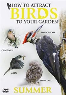 How to Attract Birds to Your Garden: Summer