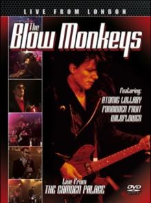 The Blow Monkeys: Live from London