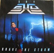 Brave the Storm (Collector's Edition)