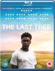 The Last Tree