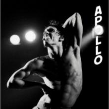 Apollo (Limited Edition)