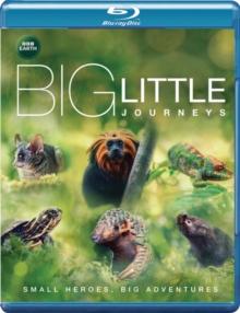 Big Little Journeys