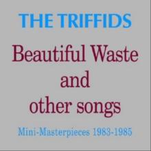 Beautiful Waste and Other Songs: Mini-masterpieces 1983-1985