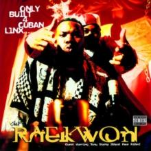 Only Built 4 Cuban Linx..