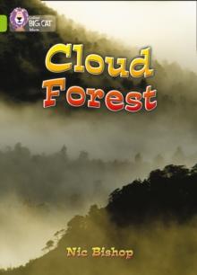 Cloud Forest : Band 11/Lime