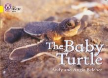 The Baby Turtle : Band 03/Yellow