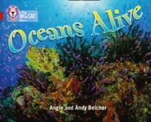 Oceans Alive : Band 14/Ruby