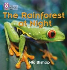 The Rainforest At Night : Band 04/Blue