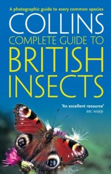 British Insects : A Photographic Guide to Every Common Species