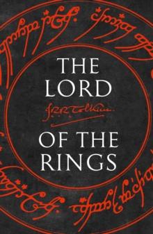 The Lord of the Rings : The Fellowship of the Ring, the Two Towers, the Return of the King