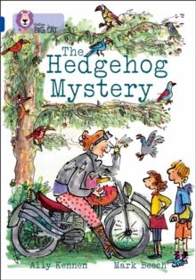 The Hedgehog Mystery : Band 16/Sapphire