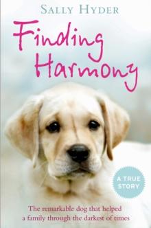 Finding Harmony : The remarkable dog that helped a family through the darkest of times