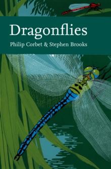 Dragonflies