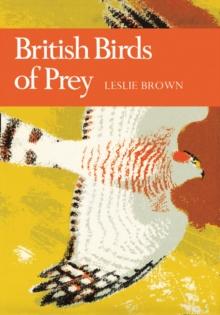 British Birds of Prey