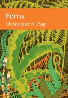 Ferns