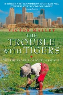 The Trouble With Tigers : The Rise and Fall of South-East Asia