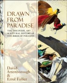 Drawn From Paradise : The Discovery, Art and Natural History of the Birds of Paradise