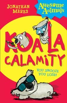 Koala Calamity