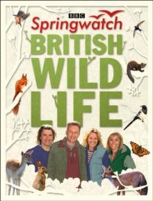 Springwatch British Wildlife : Accompanies the BBC 2 Tv Series