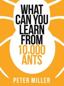 What You Can Learn From 10,000 Ants