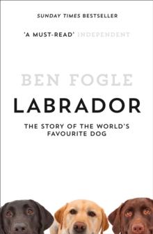 Labrador : The Story of the Worlds Favourite Dog