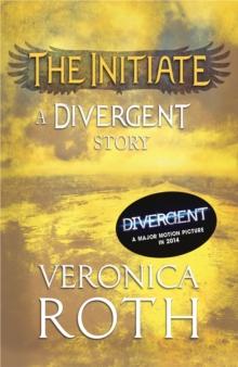 The Initiate: A Divergent Story