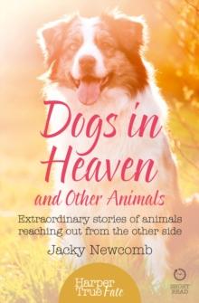 Dogs in Heaven: and Other Animals : Extraordinary Stories of Animals Reaching out from the Other Side