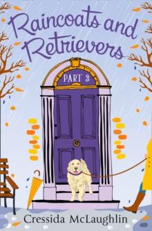 Raincoats and Retrievers (A novella) : A happy, yappy love story